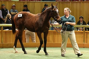 Resized Weanling 2014 Lot 90